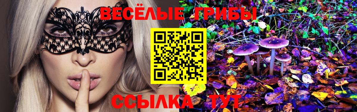 Псилоцибиновые грибы Psilocybe Архангельск